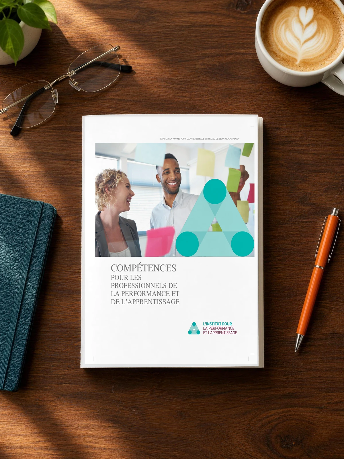 Compétences pour les professionnels de la performance et de l’apprentissage (French print edition)