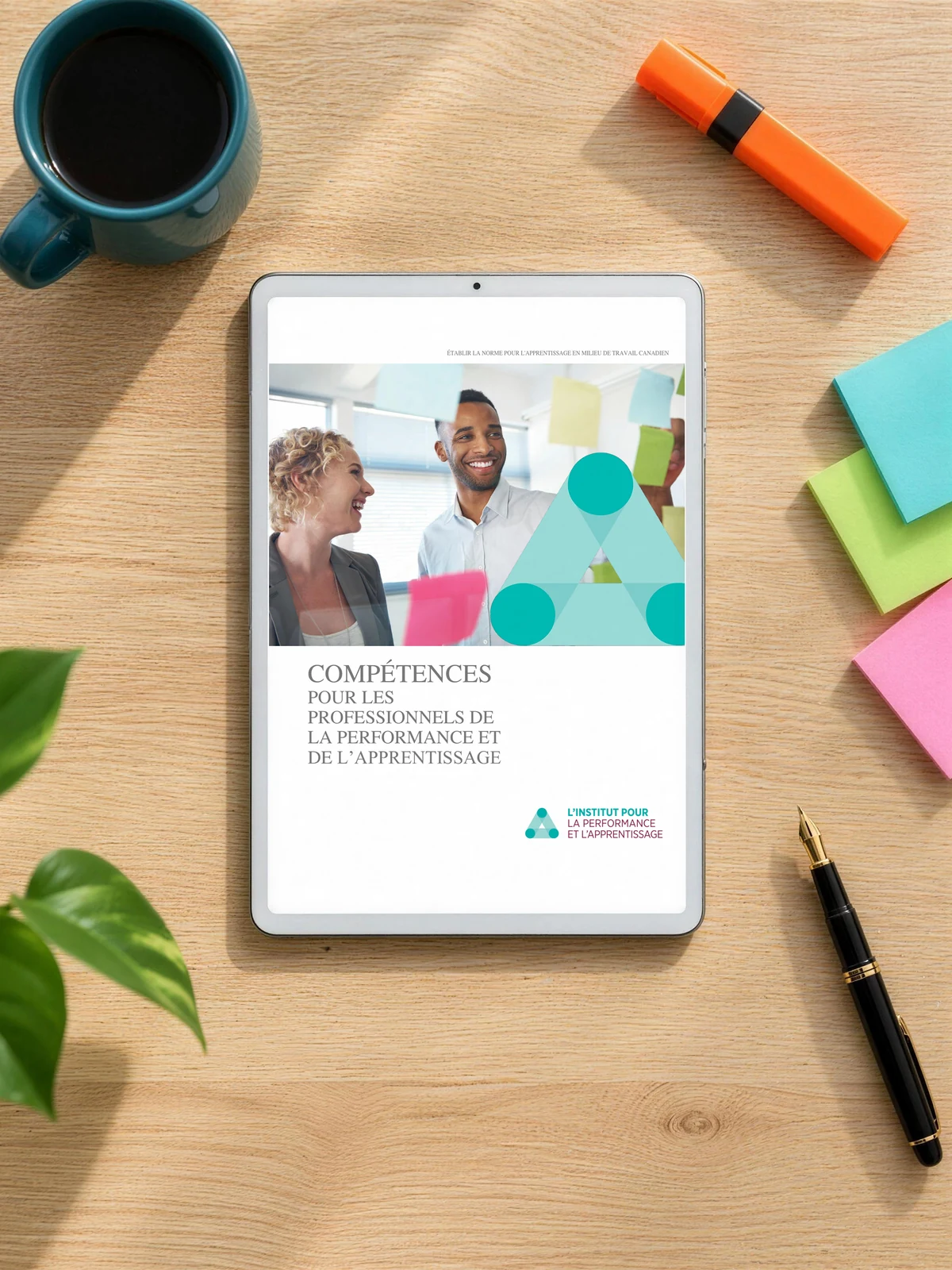 Compétences pour les professionnels de la performance et de l’apprentissage (French download)