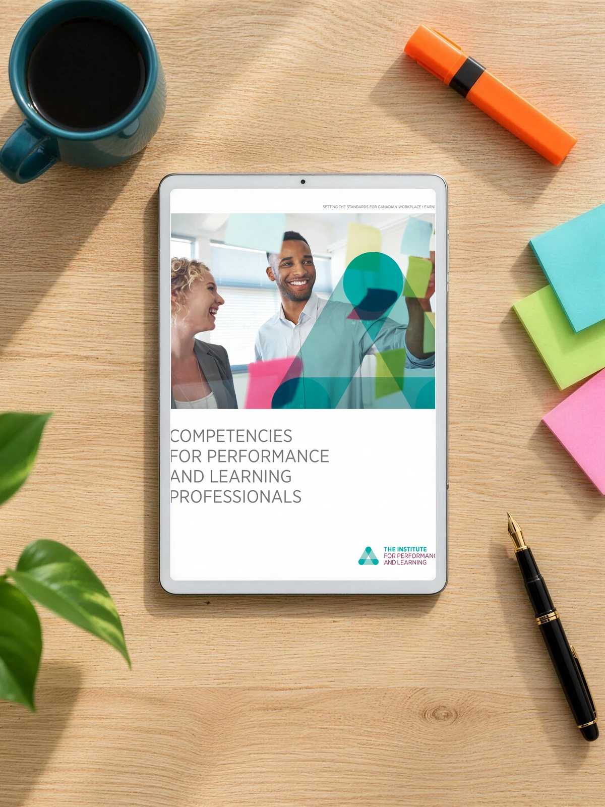 Competencies for Performance and Learning Professionals (Download)
